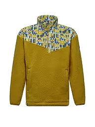 SALEWA | Zipppulli Eagle Anniversary pour homme | Olive