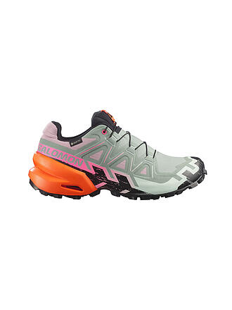 SALOMON | Chaussures de trail femme Speedcross 6 GTX Storm