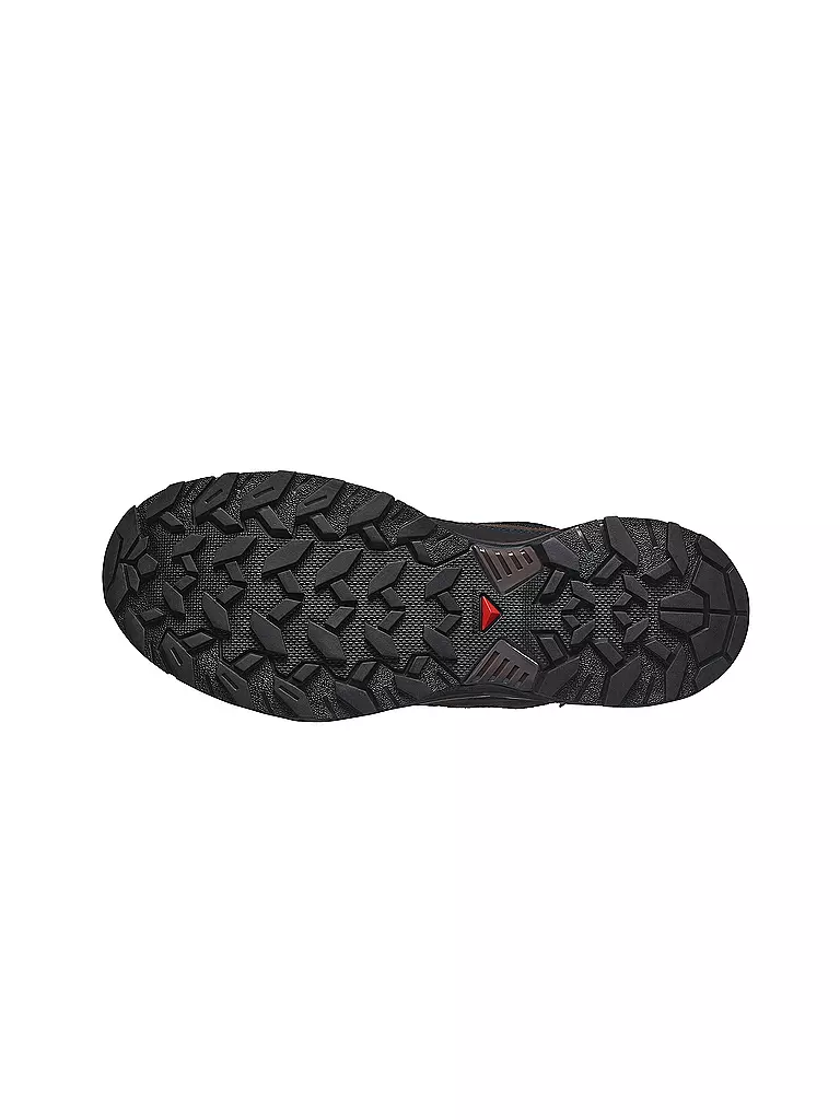SALOMON | Chaussures de randonnée homme X Ultra 360 GTX |