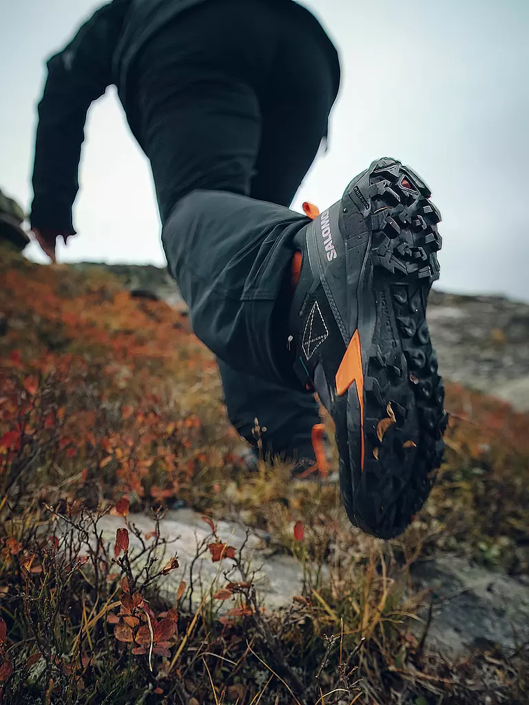 SALOMON | Chaussures de randonnée pour hommes X Ultra Alpine GTX |