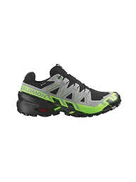 SALOMON | Chaussures de trail homme Speedcross 6 GTX | Gris