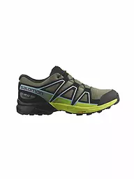 SALOMON | Chaussures de trail pour femmes XA PRO 3D V9 GTX | Olive