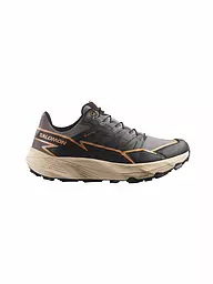SALOMON | Chaussures de trail running Thundercross GTX pour femmes | Gris