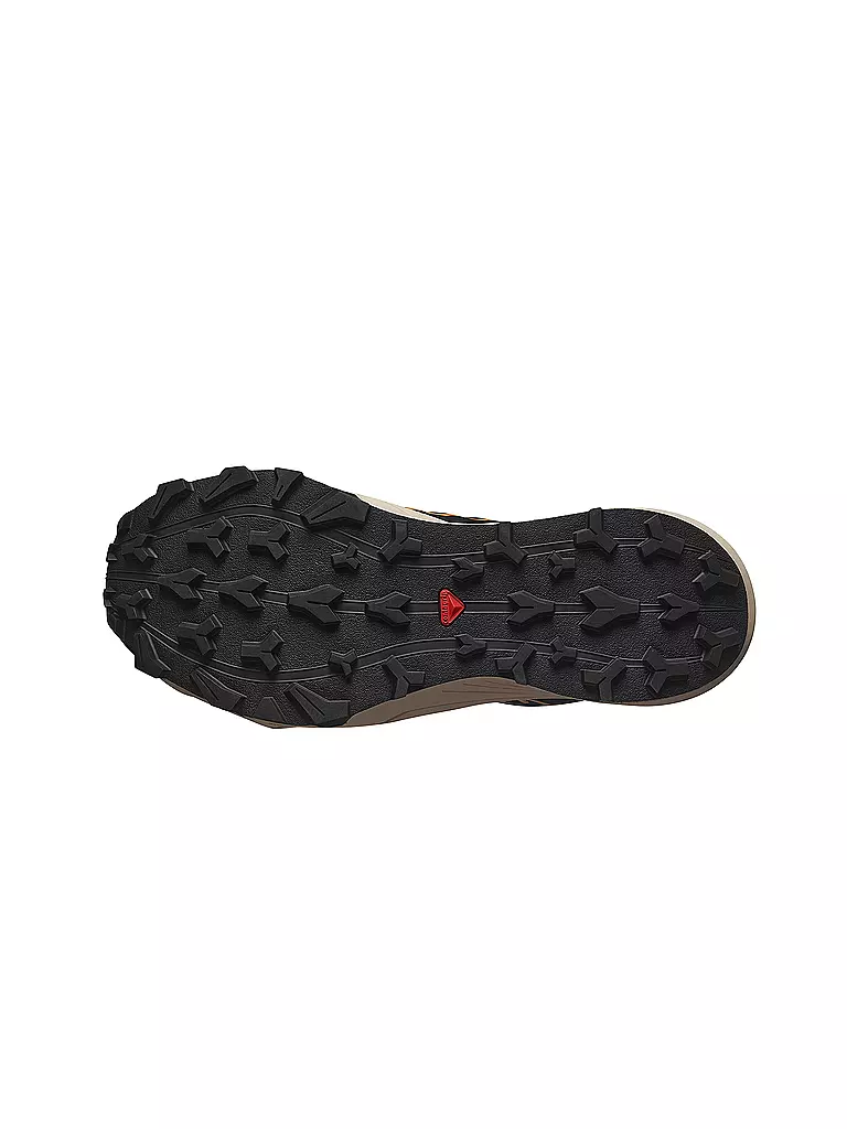 SALOMON | Chaussures de trail running Thundercross GTX pour femmes | 
