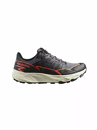 SALOMON | Chaussures de trail Thundercross GTX pour homme | Gris