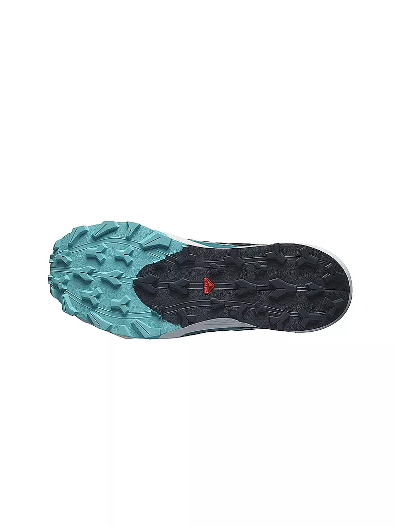 SALOMON | Chaussures de trail Thundercross pour homme | Gris