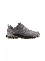 SALOMON | Chaussures multifonction pour femmes XA PRO 3D V9 GTX | Baie