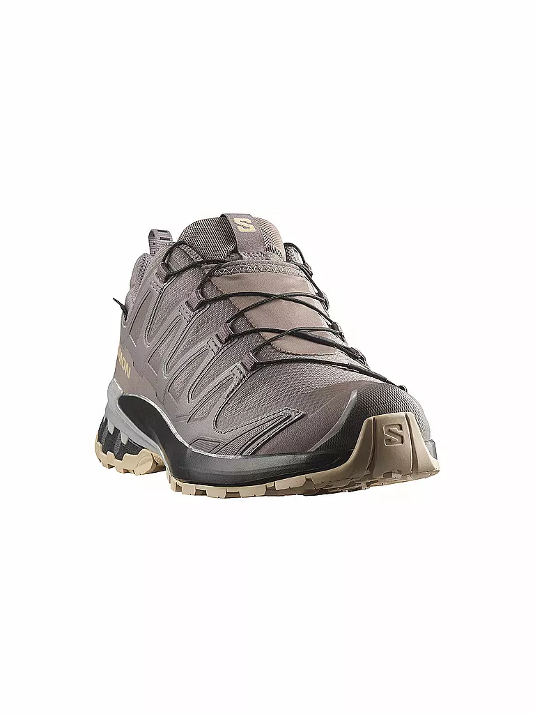 SALOMON | Chaussures multifonction pour femmes XA PRO 3D V9 GTX | 