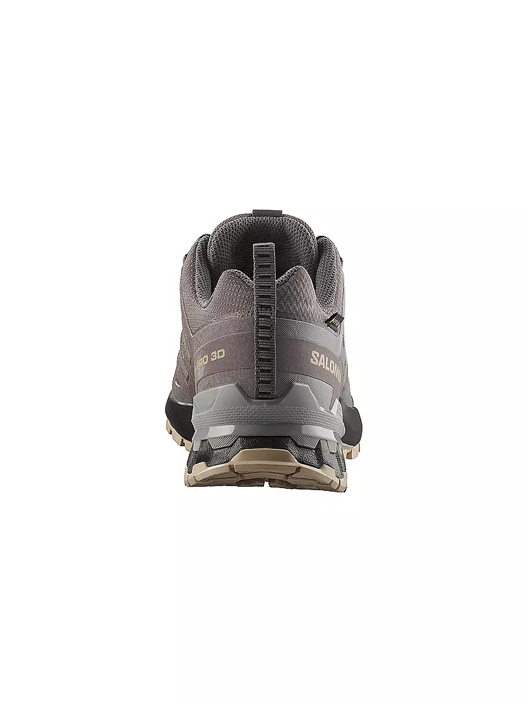 SALOMON | Chaussures multifonction pour femmes XA PRO 3D V9 GTX | 