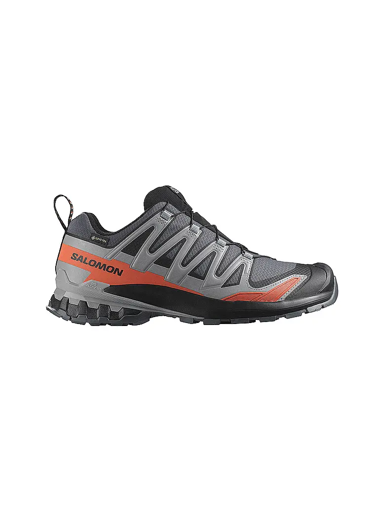 SALOMON | Chaussures multifonctionnelles pour hommes XA Pro 3D V9 GTX | Gris