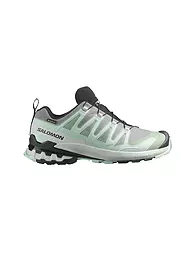SALOMON | Damen Multifunktionsschuhe XA PRO 3D V9 GTX | Menthe