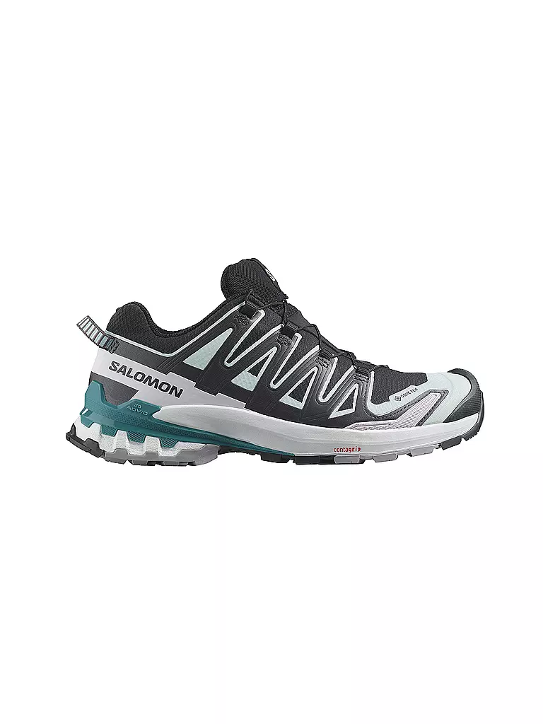 SALOMON | Damen Multifunktionsschuhe XA PRO 3D V9 GTX | Bleu