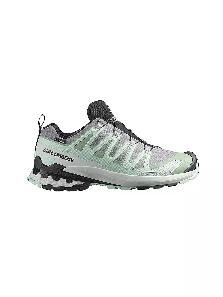 SALOMON | Damen Multifunktionsschuhe XA PRO 3D V9 GTX | Menthe