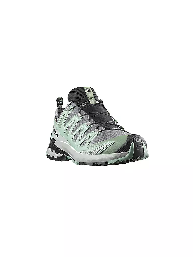 SALOMON | Damen Multifunktionsschuhe XA PRO 3D V9 GTX | Menthe