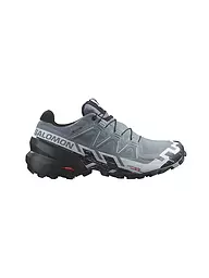 SALOMON | Damen Traillaufschuhe Speedcross 6 GTX | Gris