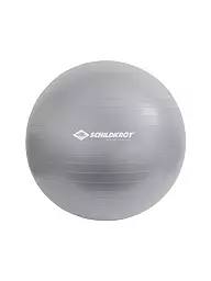 SCHILDKRÖT | Ballon de gymnastique 75 cm | Argent