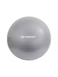 SCHILDKRÖT | Ballon de gymnastique 75 cm | Argent