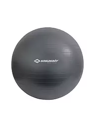 SCHILDKRÖT | Ballon de gymnastique 75 cm | Gris