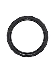SCHWALBE | Pneu de vélo Albert Pro Radial 63-622 Trail Soft | Noir
