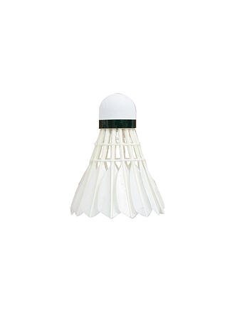 TALBOT TORRO | Volants de badminton 750, lot de 6