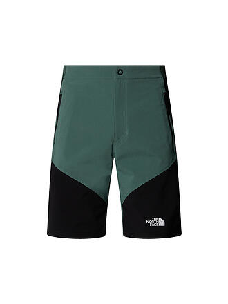 THE NORTH FACE | Shorts de randonnée Felik Slim Tapered pour hommes