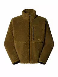 THE NORTH FACE | Herren Fleecejacke Extreme Pile Fleece | Olive