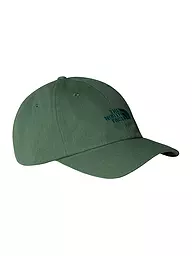 THE NORTH FACE | Kappe Norm | Vert foncé