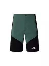 THE NORTH FACE | Herren Short Felik Slim Tapered | Pétrole