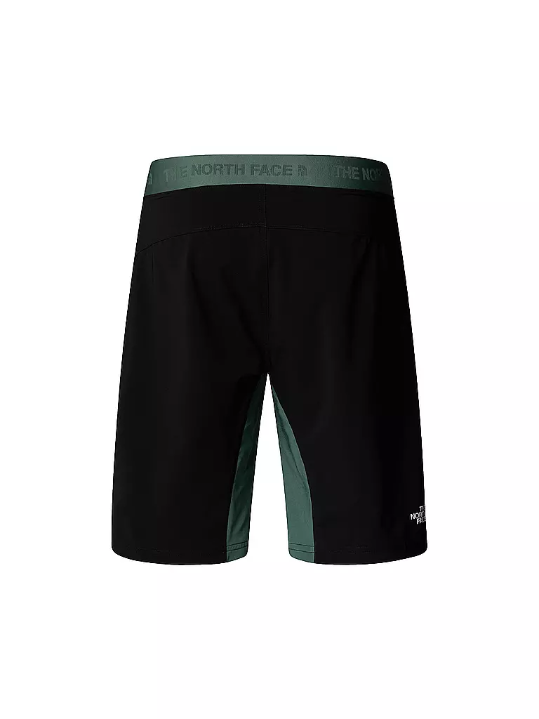 THE NORTH FACE | Short Felik Slim Tapered pour homme |