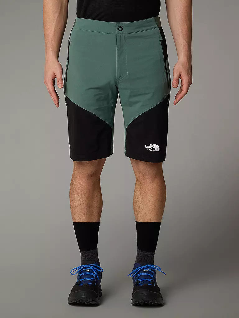 THE NORTH FACE | Short Felik Slim Tapered pour homme |