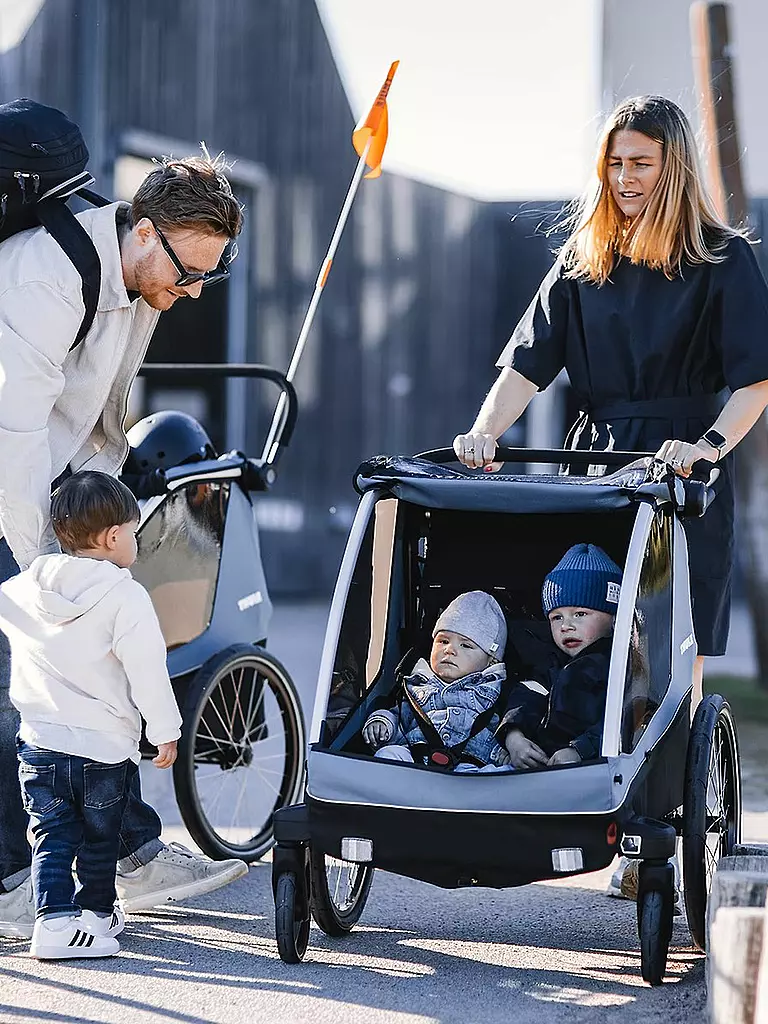 THULE | Remorque de vélo 3 en 1 pour enfants, chiens ou marchandises Thule Courier |