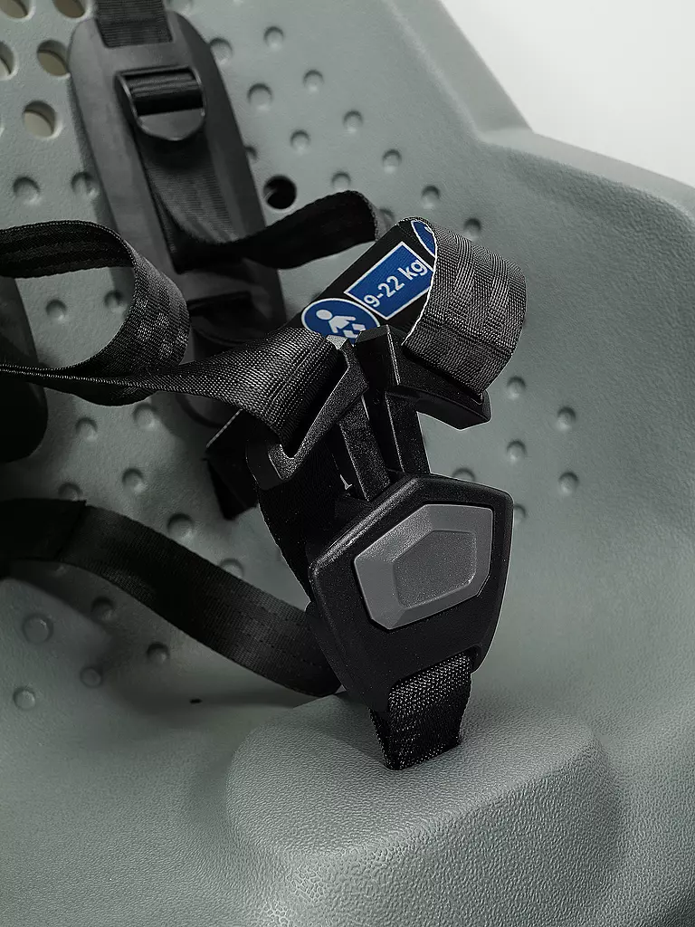 THULE | Siège enfant pour vélo à fixation sur cadre Thule Yepp 2 Maxi | Vert